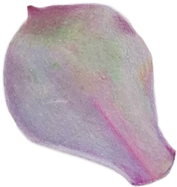 Petalo